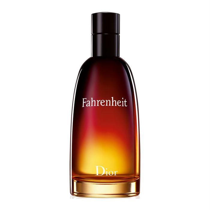C.Dior Fahrenheit Edt Erkek Parfüm 100 ml