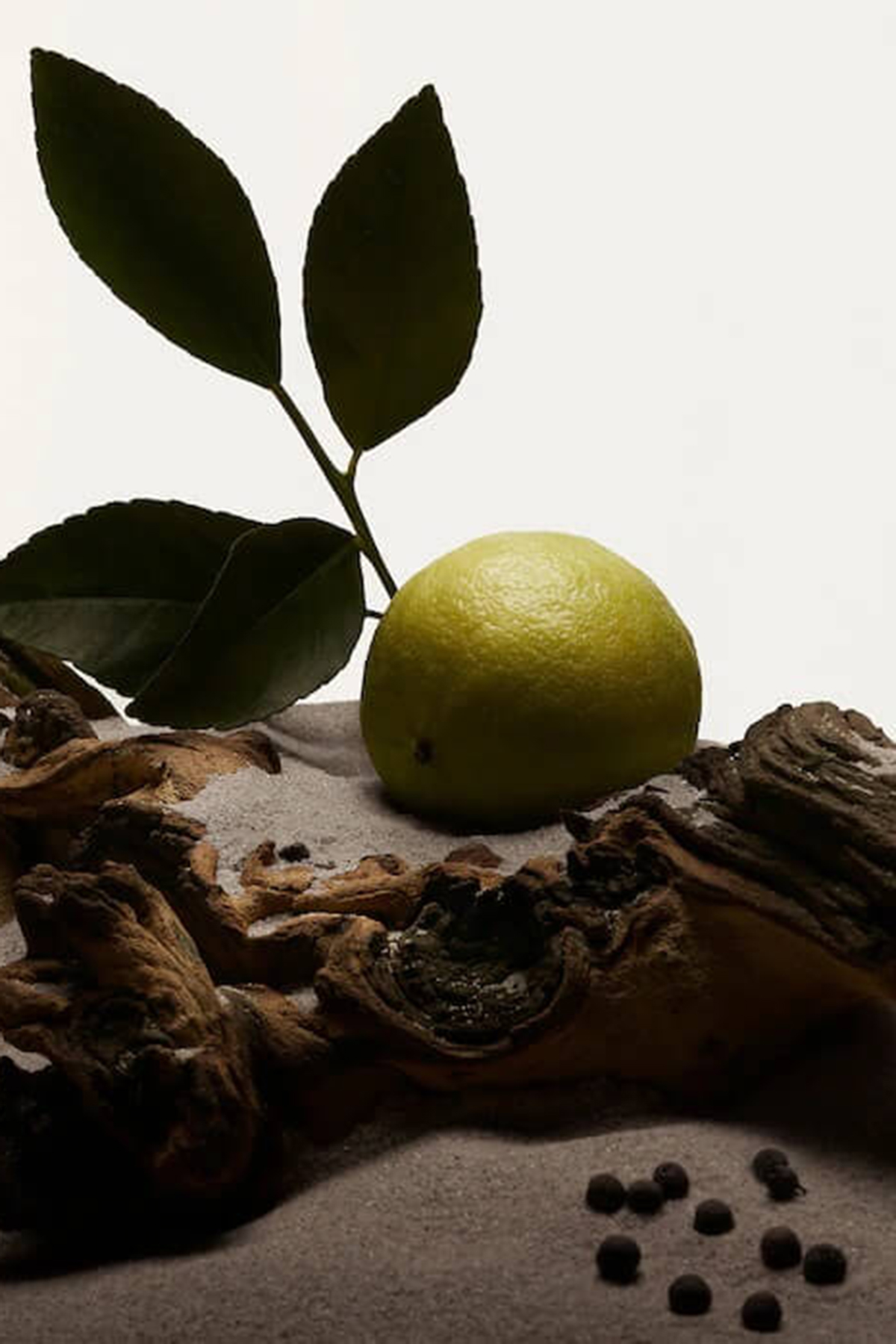 Burberry Hero Edt Erkek Parfüm 100 ml