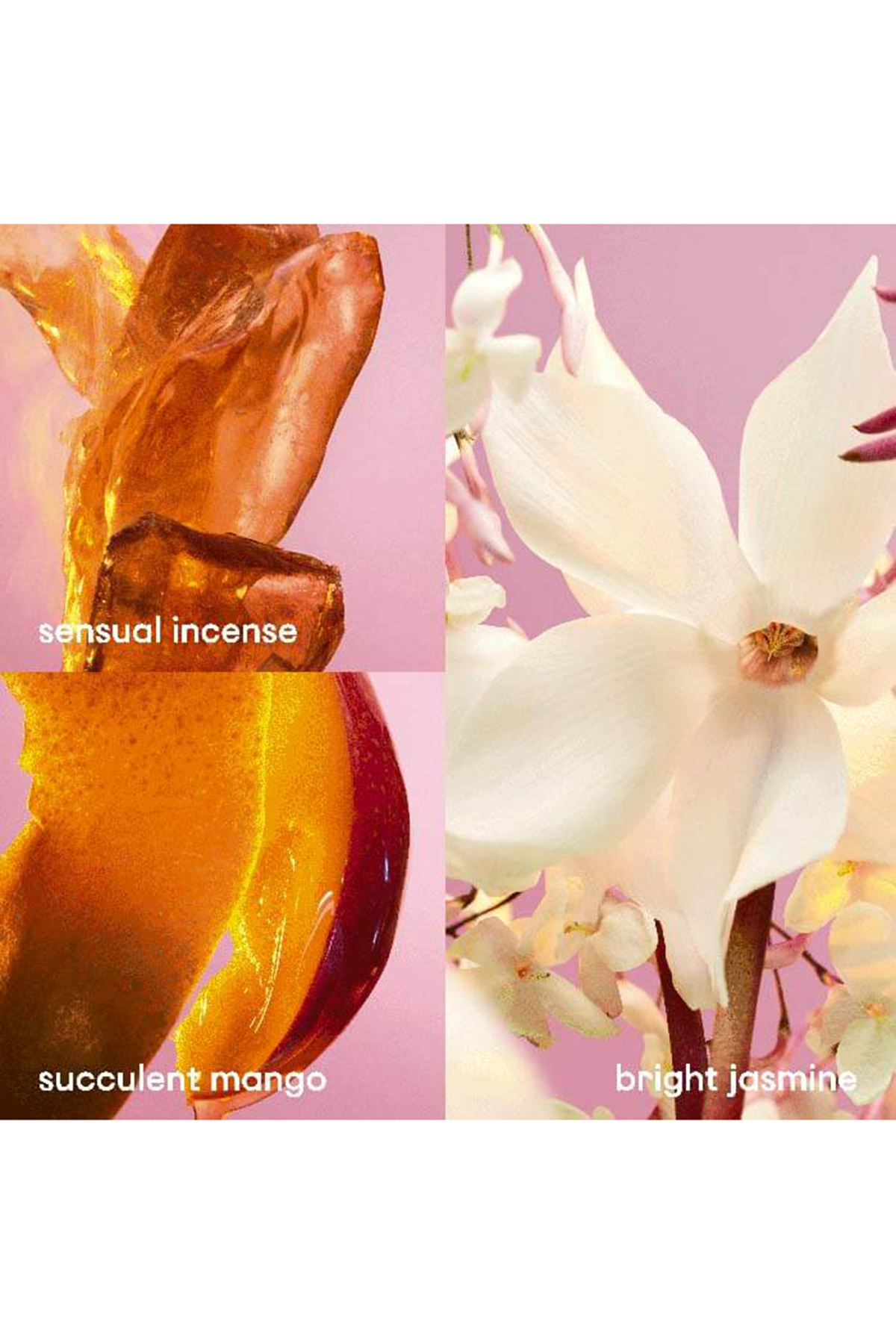 Paco Rabanne Fame Edp Kadın Parfüm 80 ml