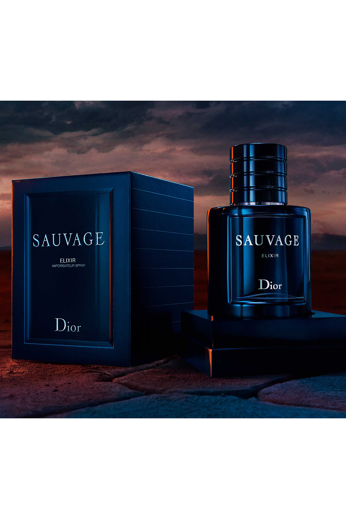 C.Dior Sauvage Elixir Edp Erkek Parfüm 100 ml