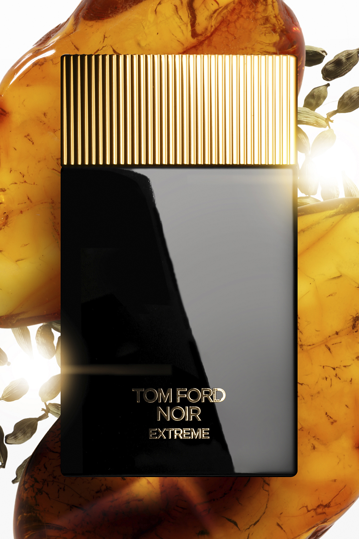 Tom Ford Noir Extreme EDP 100 ml Erkek Parfüm