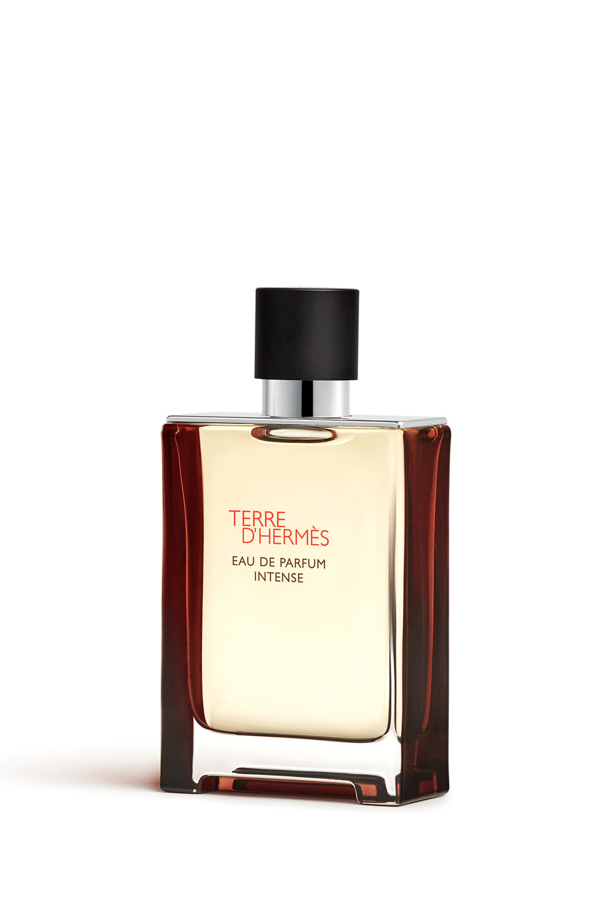 Hermés Terre D'Hermès EDP Intense 100 Ml Erkek Parfüm