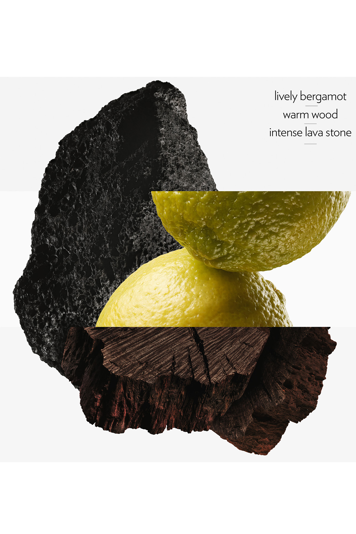 Hermés Terre D'Hermès EDP Intense 100 Ml Erkek Parfüm