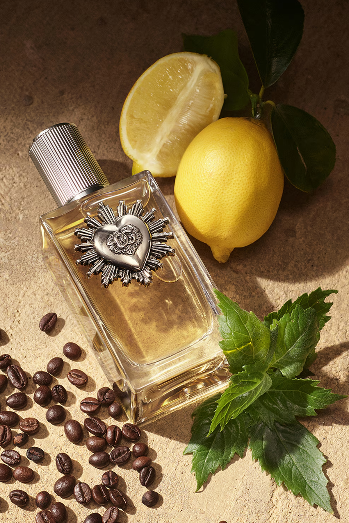 Dolce & Gabbana Devotion EDP 50 ml Erkek Parfüm