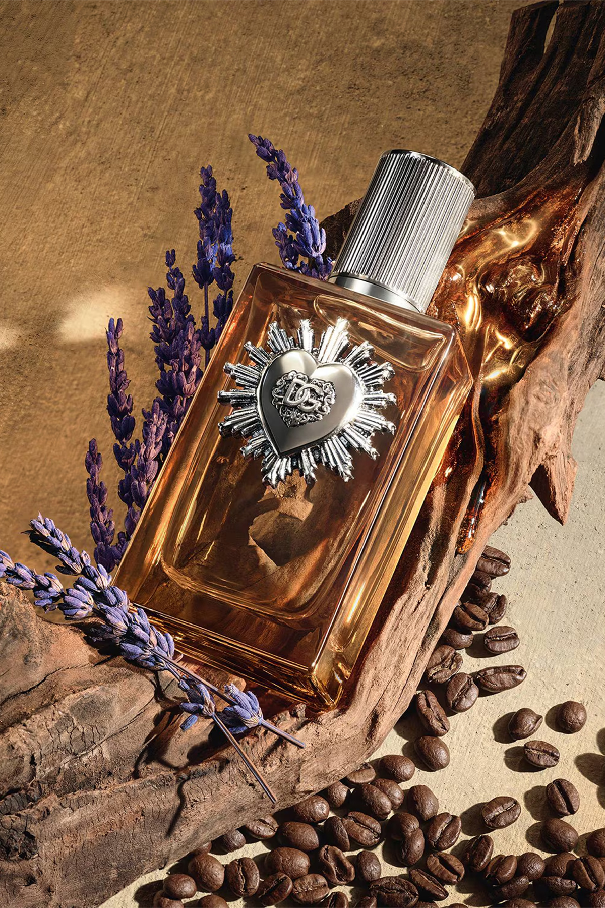 Dolce & Gabbana Devotion Parfüm 50 ml Erkek Parfüm