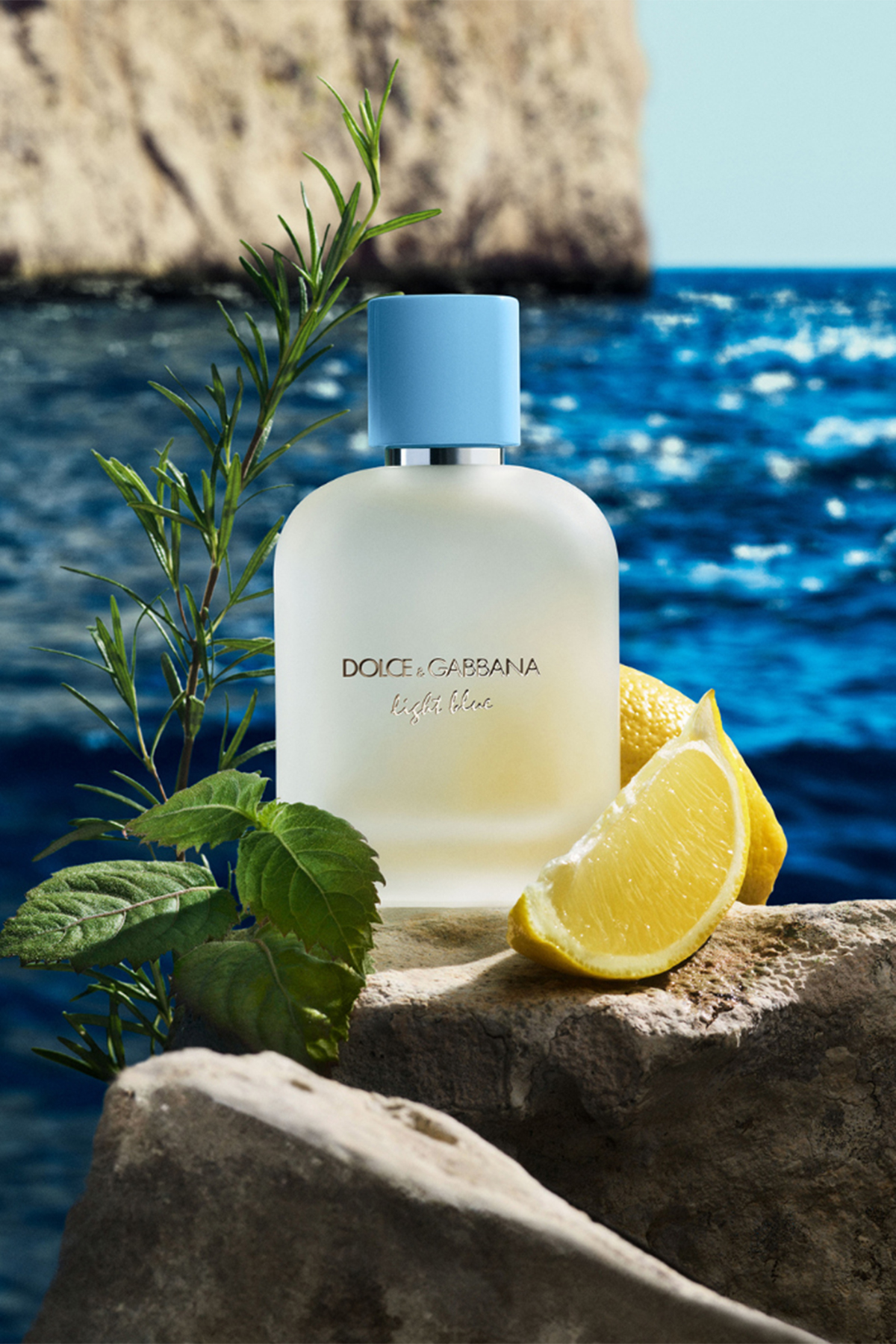 Dolce & Gabbana Light Blue EDT 50 ml Erkek Parfüm