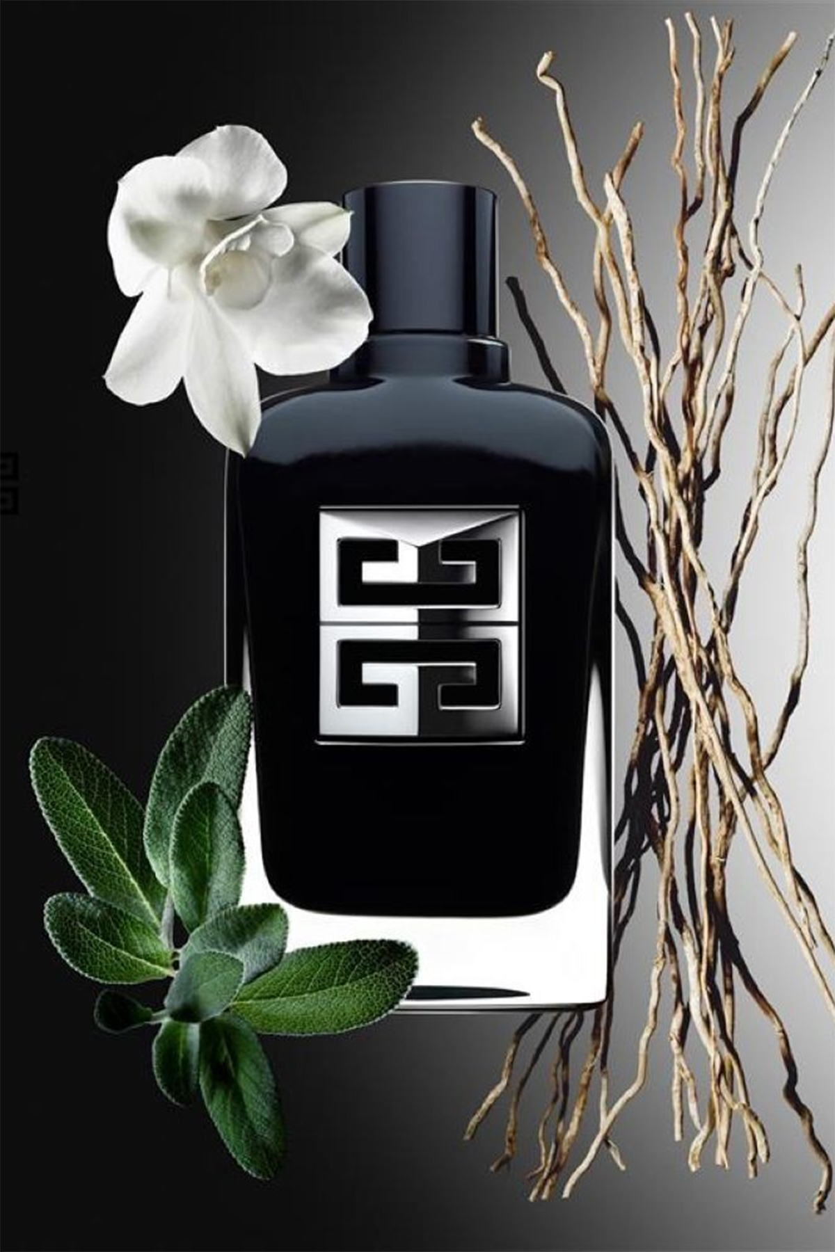 Givenchy Gentleman Society EDP 60 ml Erkek Parfüm