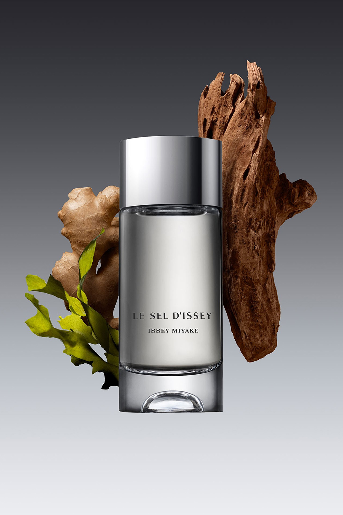 Issey Miyake Le Sel D'issey EDT 50 ml Erkek Parfüm
