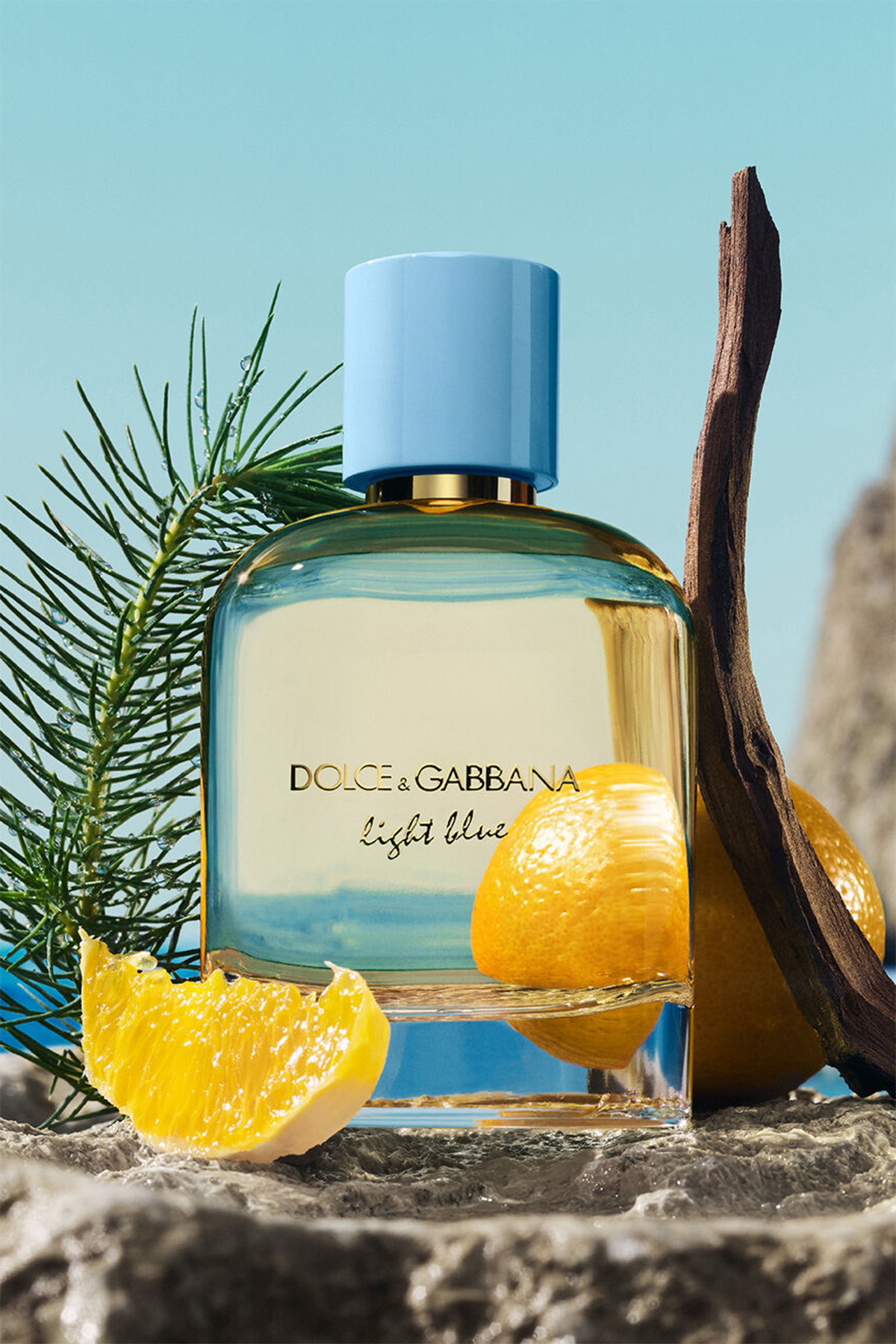 Dolce&Gabbana Light Blue Pour Homme EDP 100 ml Erkek Parfüm